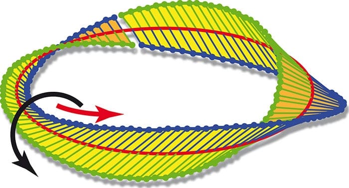 Schematic representation of an optical Mobius strip