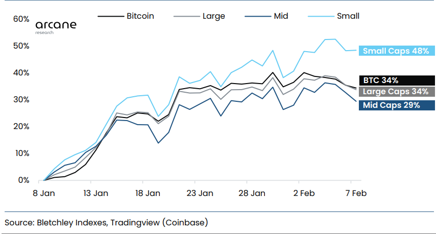 Bitcoin And Altcoins Indexes