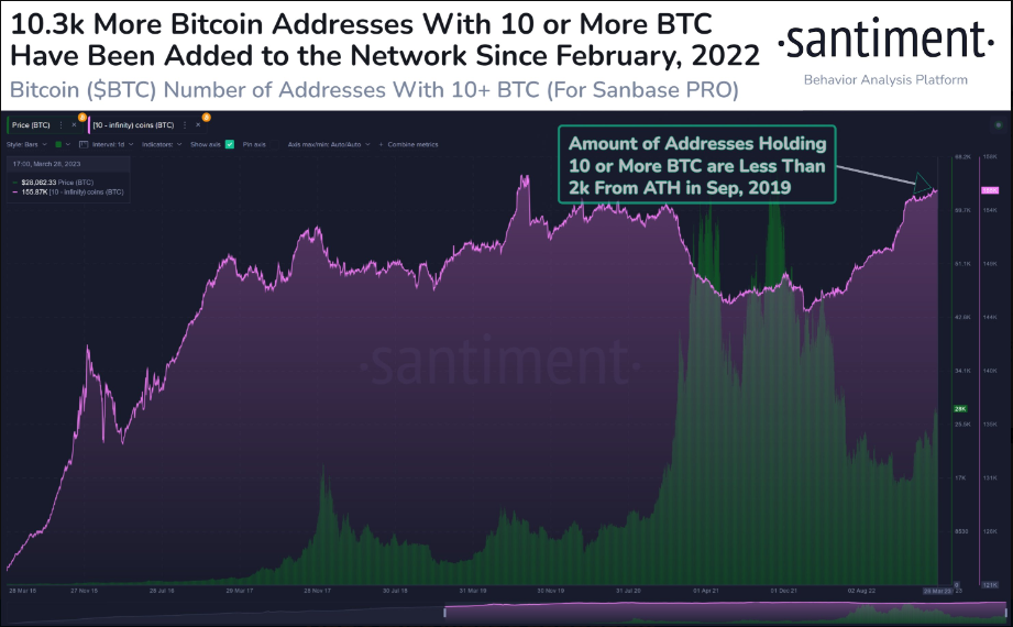 Bitcoin ($BTC) Number of Addresses With 10+ BTC, Source; Santiment
