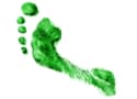 green footprint artwork