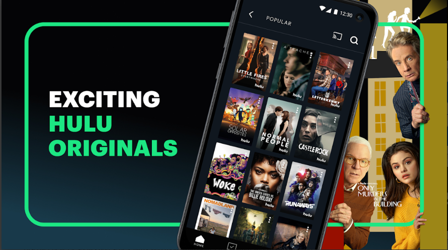 cost-to-build-a-video-streaming-app-like-Hulu