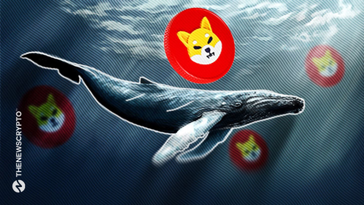 Shiba Inu (SHIB) Becomes the Go-To Token for Top Ethereum Whales