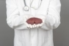 Doctor holding a kidney