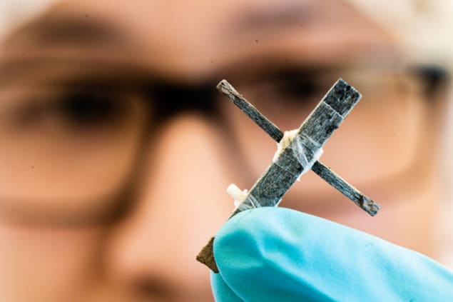 A transistor made out of a plank of wood incorporates electrically conducting polymers throughout the material