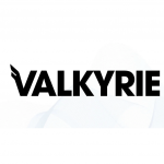 Valkyrie Bitcoin Fund (BRRR) Awalnya dimiliki oleh Valkyrie Investments yang berbasis di Tennessee, dana BRRR diakuisisi oleh CoinShares setelah persetujuan SEC pada 12 Januari 2024. Langkah ini menambah aset senilai $112 juta ke $4.5 miliar yang sudah dikelola oleh perusahaan yang berbasis di UE. manajer aset kripto. Bersamaan dengan BRRR, Coinshares juga mengakuisisi ETF kripto Valkyrie lainnya. Seperti kebanyakan ETF Bitcoin lainnya pada Januari 2024, BRRR menawarkan diskon biaya yang besar untuk menarik pembeli. Dana tersebut menjanjikan keringanan biaya sponsor selama 3 bulan. Setelah itu, biayanya menjadi 0.25%. Coinbase adalah kustodian bitcoin yang ditunjuk oleh BRRR. Pertukaran: Nasdaq