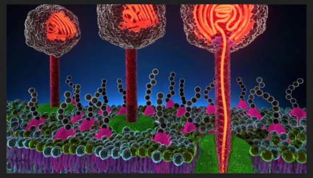 Artist's impression of a phage virus injecting its DNA into a cell