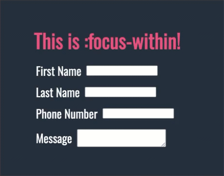 First example of focus-within css class highlighting the form background and changing the label text color.