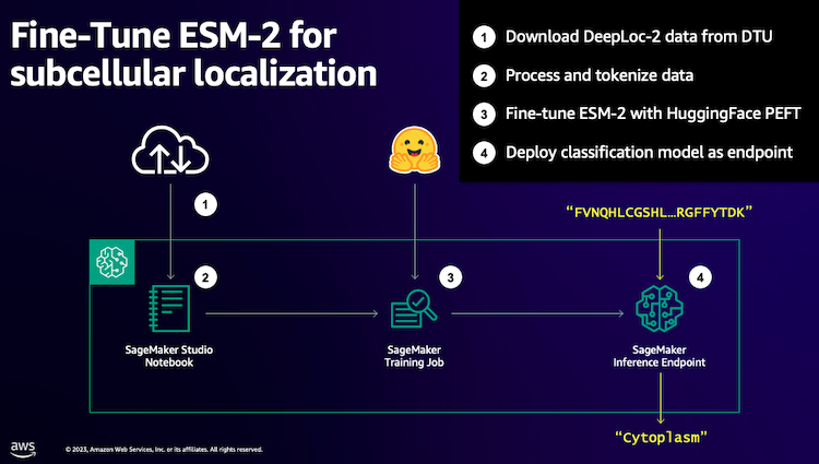 معماری AWS برای تنظیم دقیق ESM
