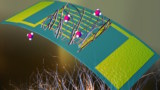 Microbial nanowire sensor